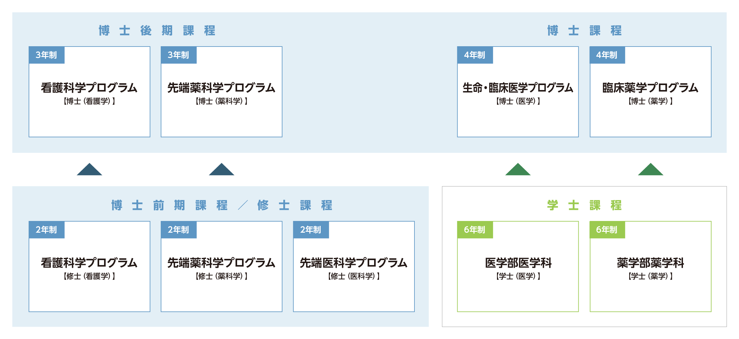 富山大学大学院総合医薬学研究科の構成