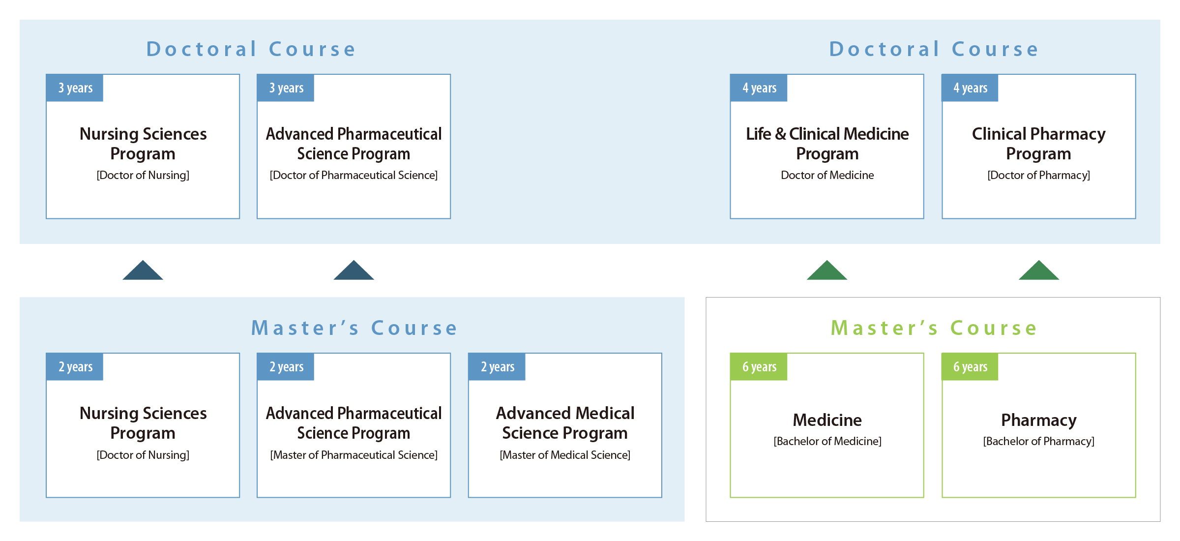 Structure of Graduate School of Medicine and Pharmaceutical Sciences
