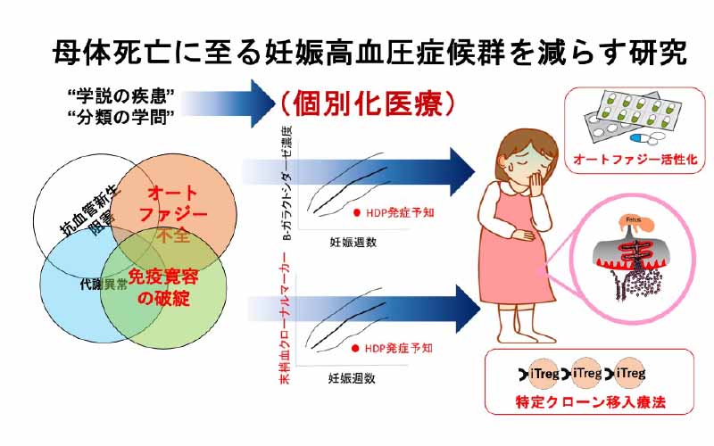 母体死亡に至る妊娠高血圧症候群を減らす研究