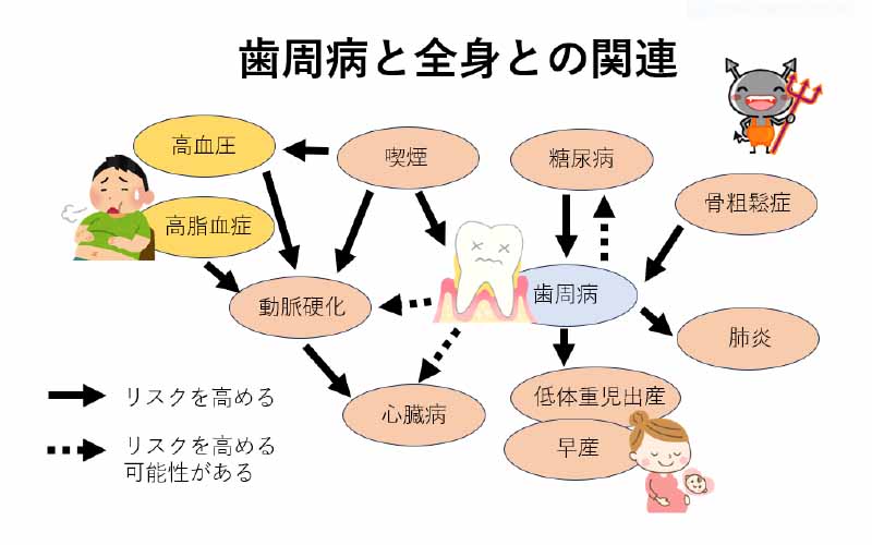 健康寿命の延伸に寄与する口腔科学