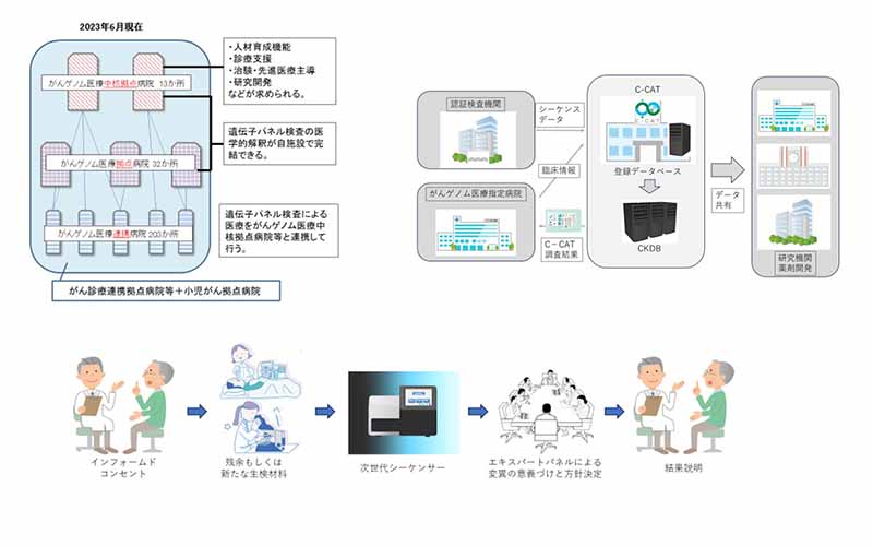 がんゲノム医療の実効性向上を目指す